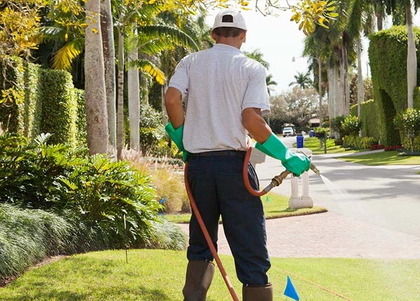 About Okmulgee OK Pest Control